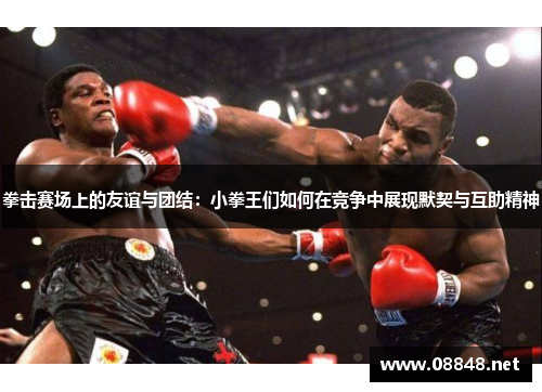 拳击赛场上的友谊与团结：小拳王们如何在竞争中展现默契与互助精神